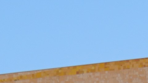 Nuevos sacerdotes en la Arquidiócesis de Los Ángeles. (Cortesía Arquidiócesis de Los Ángeles.)