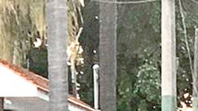 José Manuel Figueroa