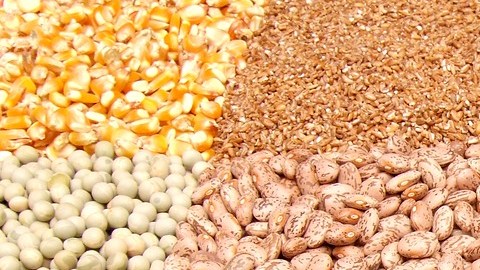 Remojar los frijoles favorece una mejor digestión y absorción de sus nutrientes.