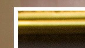 El presidente y los demócratas no tienen fecha para retomar negociaciones del plan de estímulo.