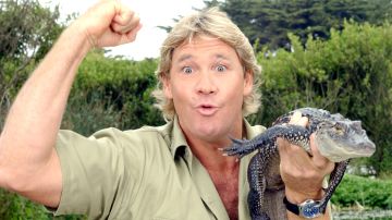 Steve Irwin, "El cazador de cocodrilos".