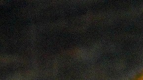 Angela Aguilar, Leonardo Aguilar, Pepe Aguilar y Antonio Aguilar Jr.