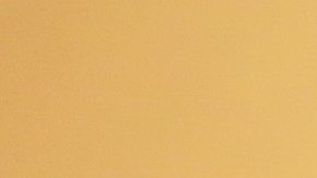 Migbelis Castellanos