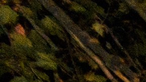 Imagen ilustrativa de una fiesta privada en casa de lujo.