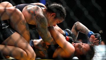 Noticias de bellator - La Opinión