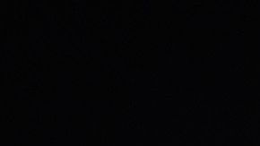 Netflix video bonos coronavirus COVID-19 PLATAFORMA STREAMING