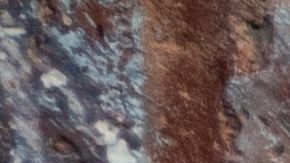 La imagen de Vanessa Guillén en una vigilia en Austin.