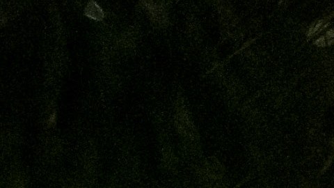 Isaías se volvió a convertir en huracán poco antes de llegar a costa estadounidense.