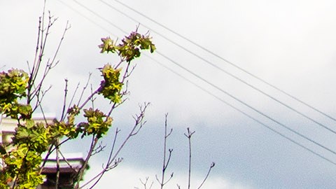 Postes de cables eléctricos derribados por el paso de la tormenta Isaías por Guttenberg, New Jersey.