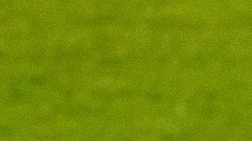 Philadelphia Phillies.