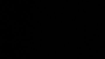 La senadora Kamala Harris es la compañera de boleta del exvicepresidente Joe Biden.