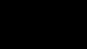 Kamala Harris se mostró convencida de poder desafiar a Trump.