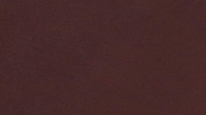 54% de los votantes considera positivo que Biden eligiera a Harris.