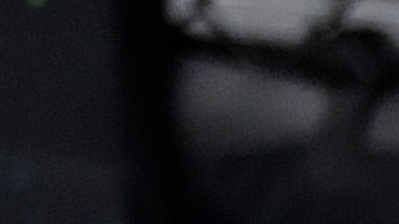 "Chito" Vera terminó a Sean O'Malley en el round 1.