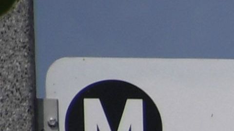 El director de USPS afirma que reforzará a su equipo para atender el volumen de votos por correo.