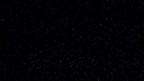 Las protestas continúan en Portland, Georgia.