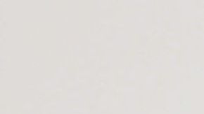 María Celeste Arrarás.