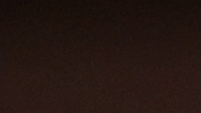 El senador Schumer dará su discurso el martes por la noche.