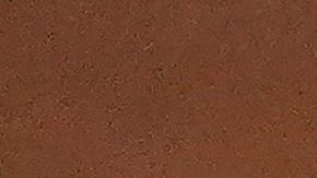 Los casos de COVID-19 en el interior de los Mets provocaron la decisión.