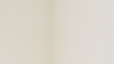 El presidente y su esposa siguen al féretro de Robert Trump cuando sale de la Casa Blanca.