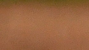 El pitcher Lucas Giolito durante su obra maestra.