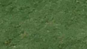 Santana deberá elegir entre México y Brasil.