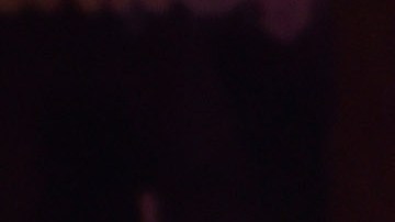 Conor McGregor y Dee Devlin en Las Vegas en 2016.