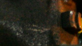 Por estética o seguridad estos autos no han cumplido con los estándares requeridos en la industria.