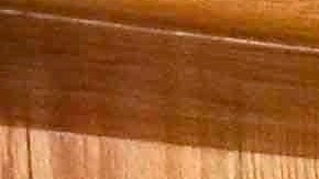 Héctor Suárez Gomís.