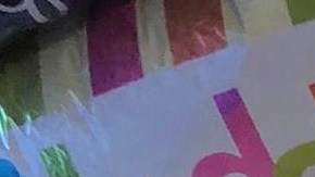 Leda Lara recientemente cumplió años.