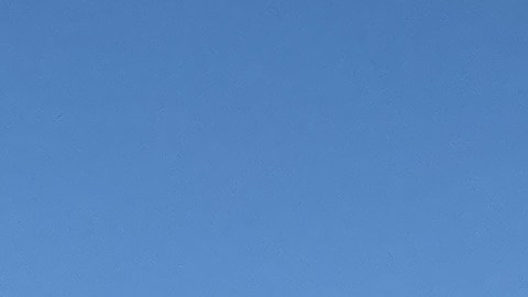 Aún se dificulta contar en ciertos barrios de Los Ángeles. (Cortesía Visión y Compromiso)