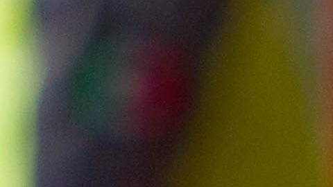 Montenegro aseguró que Messi está muy molesto con la situación.