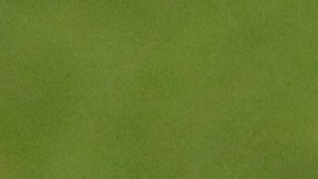 Norali Armenta en un partido con Monterrey.