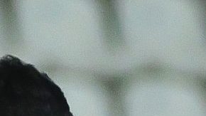 Alejandro Gómez jugó el Mundial Sub-17 en 2019.