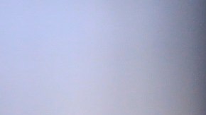 Vucetich tiene una vasta experiencia en el fútbol mexicano.