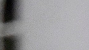 La fiesta fue en la casa de Ceppelini.