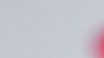 Mohamed dirige a los Rayados de Monterrey.