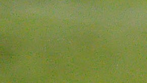 Anderson Julio dijo que lo hackearon.