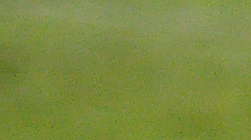 Anderson Julio dijo que lo hackearon.