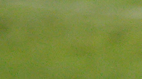 Anderson Julio dijo que lo hackearon.