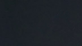 Lillini es director de Fuerzas Básicas de Pumas.