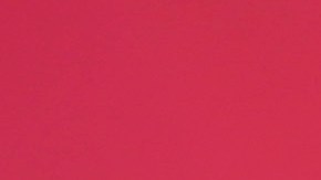 Gudiño participó con Chivas Sub-20.