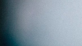 El jugo de piña contiene bromelina, la cual ayuda al cuerpo a descomponer y digerir las proteínas.