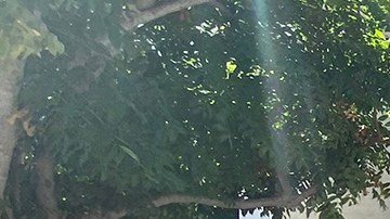 Beatrice Márquez venció al COVID-19.