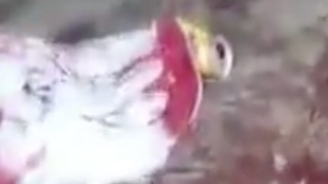 Masacre de jovencitos, al menos 8 fueron asesinados por un grupo armado