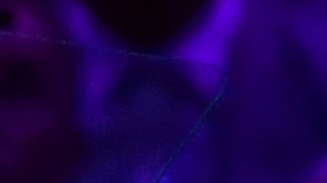 Michael Jordan asesinato padre