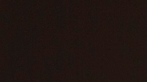 Madre e hijo se entregan a la Patrulla Fronteriza.