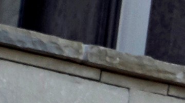 BMW X7 hana premio  WardsAuto 10 Best UX