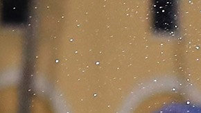 Portland Timbers campeones MLS