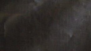 Cae la Reina del Sur, la peligrosa mujer narco y huachicolera